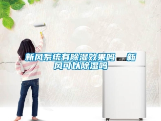 行業新聞新風系統有除濕效果嗎  新風可以除濕嗎