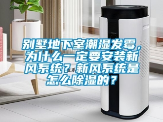 企業(yè)新聞別墅地下室潮濕發(fā)霉，為什么一定要安裝新風(fēng)系統(tǒng)？新風(fēng)系統(tǒng)是怎么除濕的？