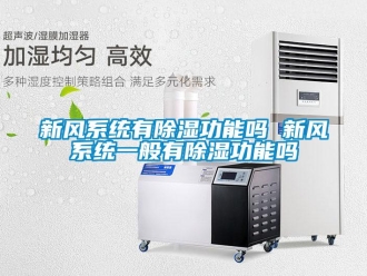 行業新聞新風系統有除濕功能嗎 新風系統一般有除濕功能嗎