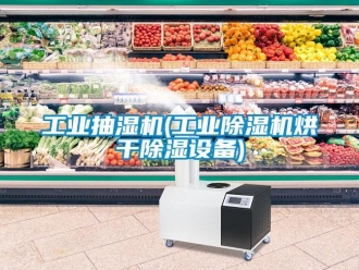 常見問題工業抽濕機(工業除濕機烘干除濕設備)