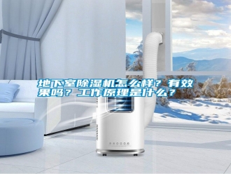 行業新聞地下室除濕機怎么樣？有效果嗎？工作原理是什么？