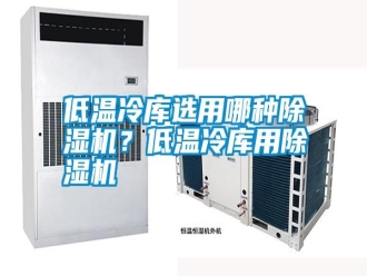 行業新聞低溫冷庫選用哪種除濕機？低溫冷庫用除濕機
