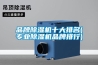 品牌除濕機十大排名(專業除濕機品牌排行)