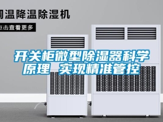 行業(yè)新聞開關(guān)柜微型除濕器科學(xué)原理 實現(xiàn)精準(zhǔn)管控