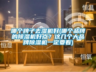 企業(yè)新聞哪個(gè)牌子去濕機(jī)好(哪個(gè)品牌的除濕機(jī)好點(diǎn)？這幾個(gè)大品牌除濕機(jī)一定要看)