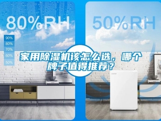 常見問題家用除濕機該怎么選，哪個牌子值得推薦？