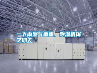 常見問題一下雨濕氣重重，除濕機揮之即去