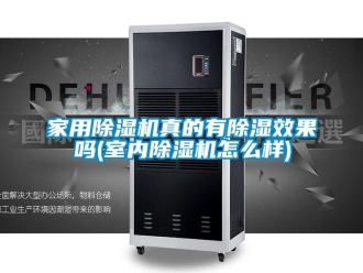常見問題家用除濕機真的有除濕效果嗎(室內除濕機怎么樣)