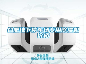 企業(yè)新聞合肥地下停車場專用除濕機(jī)價(jià)格