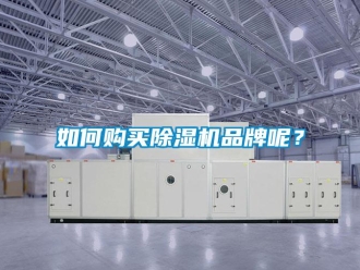 企業(yè)新聞如何購買除濕機品牌呢？