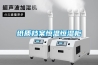 紙質檔案恒溫恒濕柜
