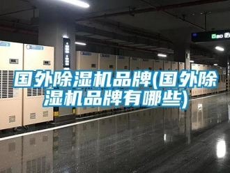 企業新聞國外除濕機品牌(國外除濕機品牌有哪些)