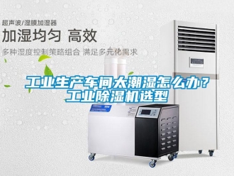 常見問題工業生產車間太潮濕怎么辦？工業除濕機選型