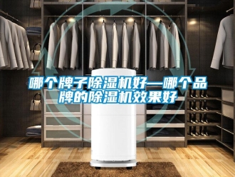 企業(yè)新聞哪個(gè)牌子除濕機(jī)好—哪個(gè)品牌的除濕機(jī)效果好