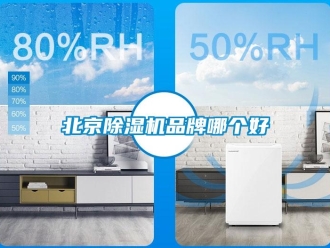 企業新聞北京除濕機品牌哪個好