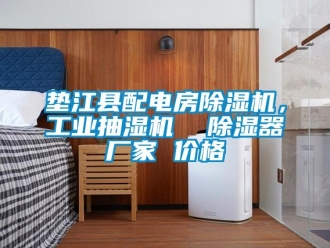 企業新聞墊江縣配電房除濕機，工業抽濕機  除濕器廠家 價格