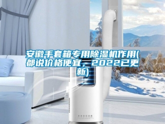 企業(yè)新聞安徽手套箱專用除濕機(jī)作用(都說(shuō)價(jià)格便宜，2022已更新)