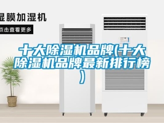 企業新聞十大除濕機品牌(十大除濕機品牌最新排行榜)