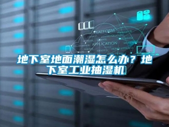 企業(yè)新聞地下室地面潮濕怎么辦？地下室工業(yè)抽濕機