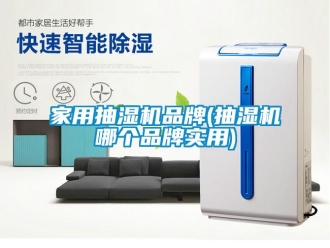 企業(yè)新聞家用抽濕機品牌(抽濕機哪個品牌實用)