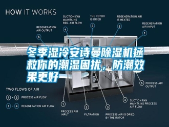 行業新聞冬季濕冷安詩曼除濕機拯救你的潮濕困擾，防潮效果更好