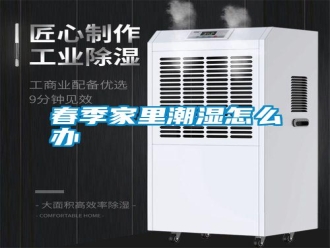 行業新聞春季家里潮濕怎么辦