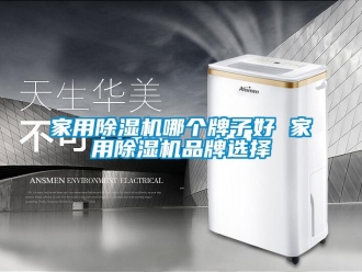 企業新聞家用除濕機哪個牌子好 家用除濕機品牌選擇