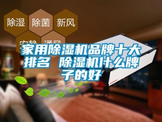 企業新聞家用除濕機品牌十大排名 除濕機什么牌子的好