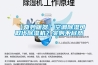 【奇妙暖器】空調除濕可取代除濕機？實則不盡然！