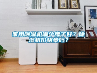 企業(yè)新聞家用除濕機(jī)哪個(gè)牌子好？除濕機(jī)價(jià)格貴嗎？