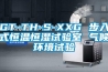 GT-TH-S-XXG 步入式恒溫恒濕試驗室 氣候環境試驗