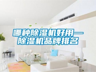 企業新聞哪種除濕機好用—除濕機品牌排名