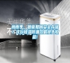 梅雨季，糧食如何安全存儲？這份除濕防潮攻略搶先收藏!