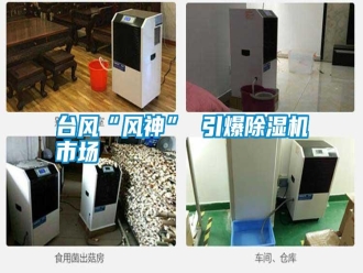常見問題臺風“風神” 引爆除濕機市場