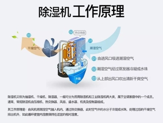 常見問題中藥材怎么烘干不變色？中藥材烘干用除濕機