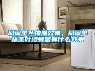 企業(yè)新聞鳳凰單叢抽濕效果，鳳凰單樅荼葉浸蜂蜜有什么效果