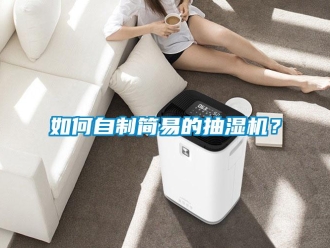 企業(yè)新聞如何自制簡易的抽濕機？