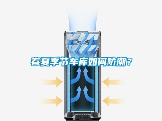 行業(yè)新聞春夏季節(jié)車庫如何防潮？