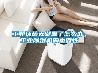 常見問題工業環境太潮濕了怎么辦，工業除濕機的重要性