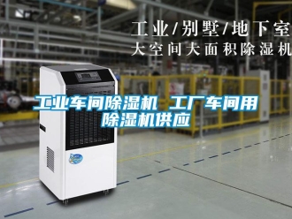 常見問題工業車間除濕機 工廠車間用除濕機供應