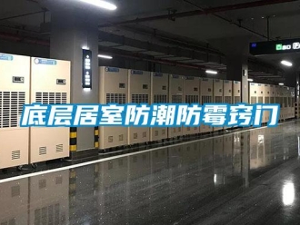 新聞資訊底層居室防潮防霉竅門