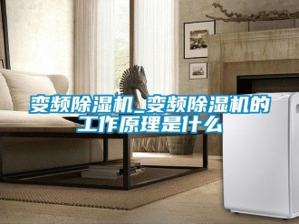 企業(yè)新聞變頻除濕機_變頻除濕機的工作原理是什么