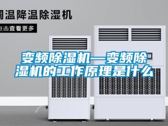 企業(yè)新聞變頻除濕機—變頻除濕機的工作原理是什么
