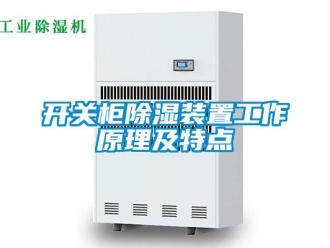 行業(yè)新聞開關柜除濕裝置工作原理及特點