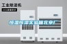 恒溫恒濕實驗箱北京廠