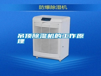 行業新聞吊頂除濕機的工作原理