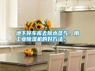 行業新聞地下停車庫去除水蒸氣，用工業除濕機的好方法。