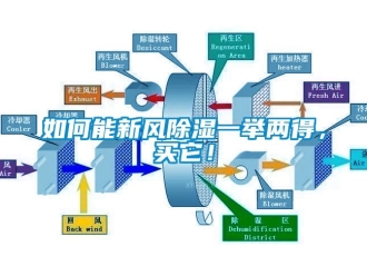 企業(yè)新聞如何能新風除濕一舉兩得，買它！