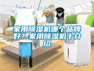 企業新聞家用除濕機哪個品牌好？家用除濕機十介紹