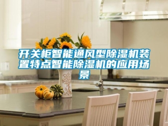 行業(yè)新聞開關(guān)柜智能通風(fēng)型除濕機(jī)裝置特點智能除濕機(jī)的應(yīng)用場景